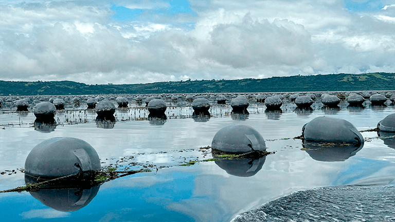 Histórica inversión para impulsar la mitilicultura en la región de Los Lagos a través del Fondo Nacional de Desarrollo Regional (FNDR)
